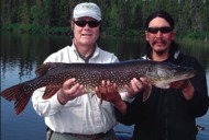 walleye fishing canada walleye fishing canada