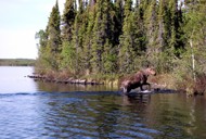 fly in fishing trip fly in fishing trip