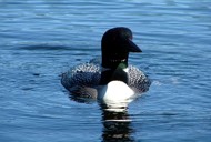 fly in fishing trips fly in fishing trips